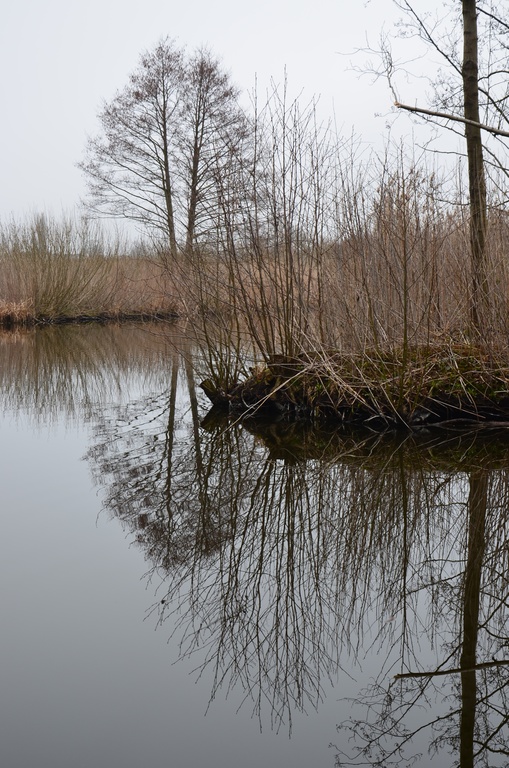 2018-04-14 Copenhagen/Utterslev Mose/DSC_0075.JPG